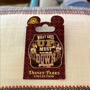 Disney Splash Mountain Vultures Pin